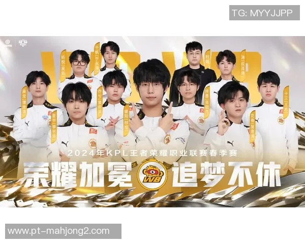 王者荣耀TES战队运营分析与成败经验分享探讨